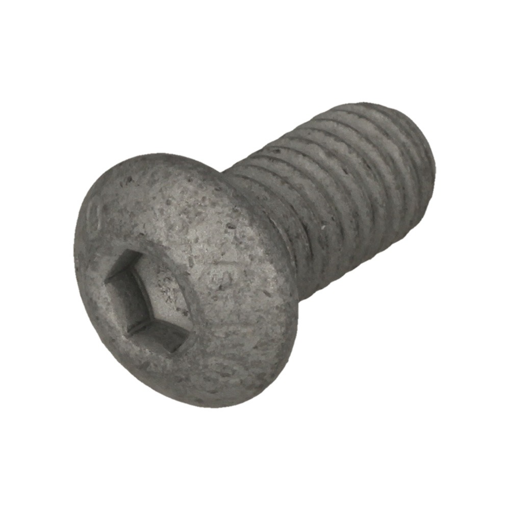 Screw