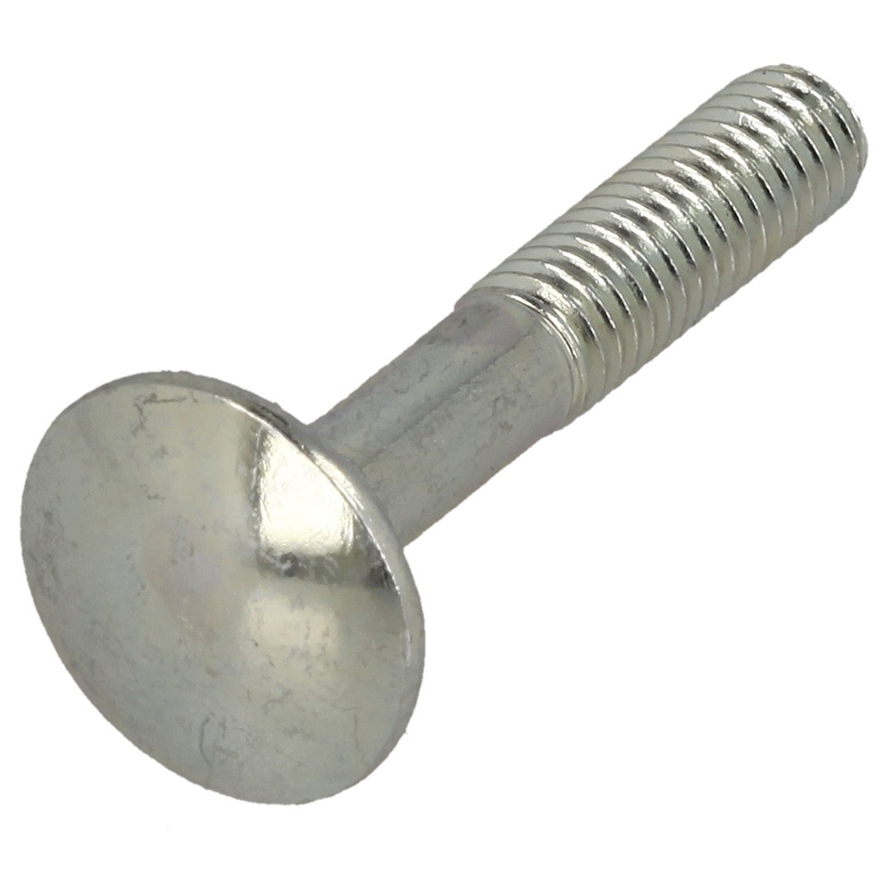 Screw