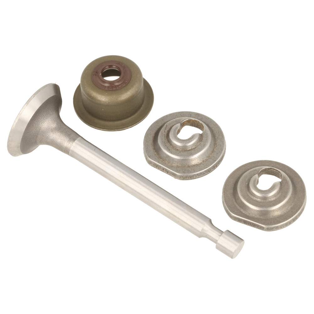 Intake Valve Assy