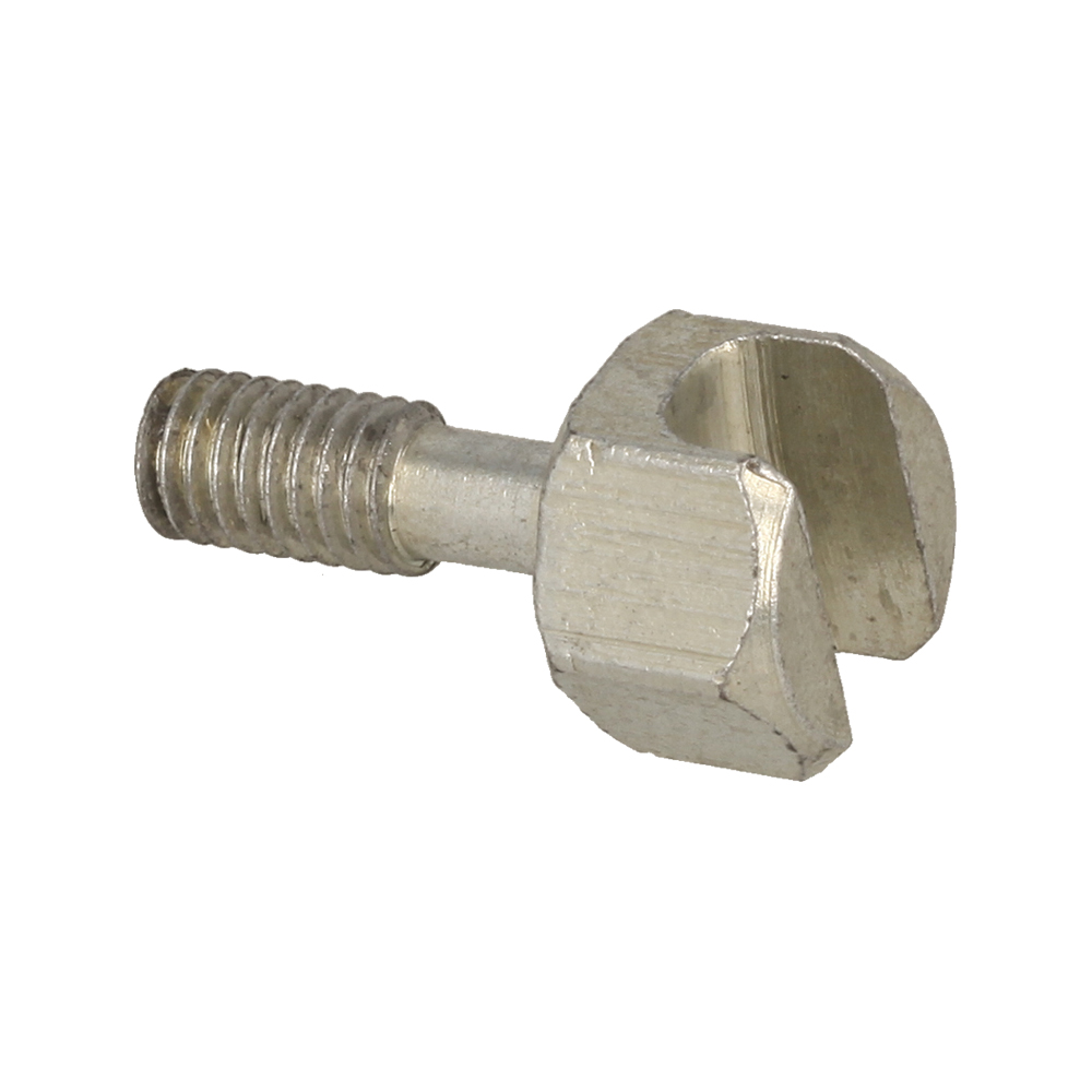 Screw