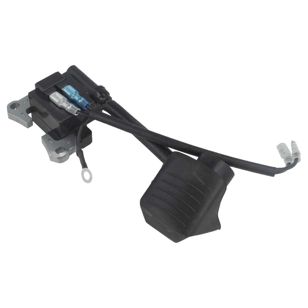 Ignition Assy