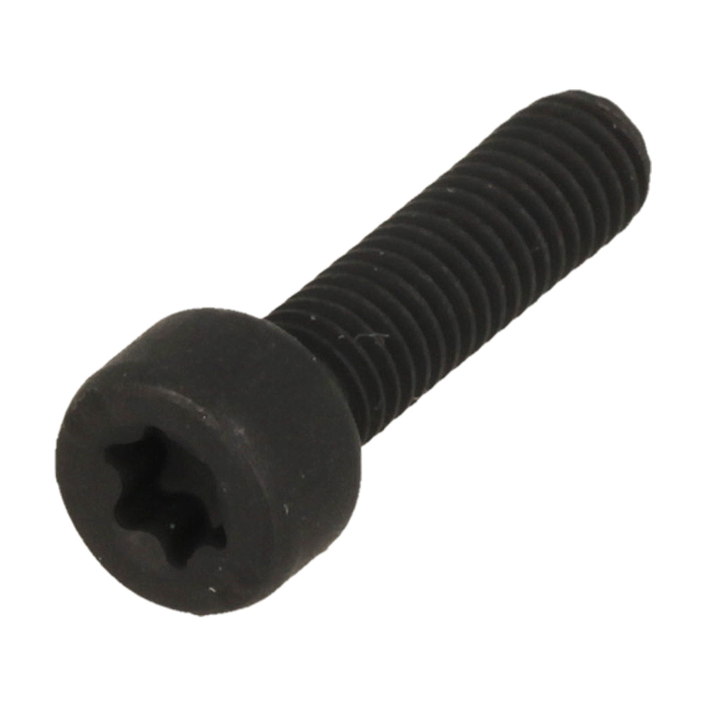Screw