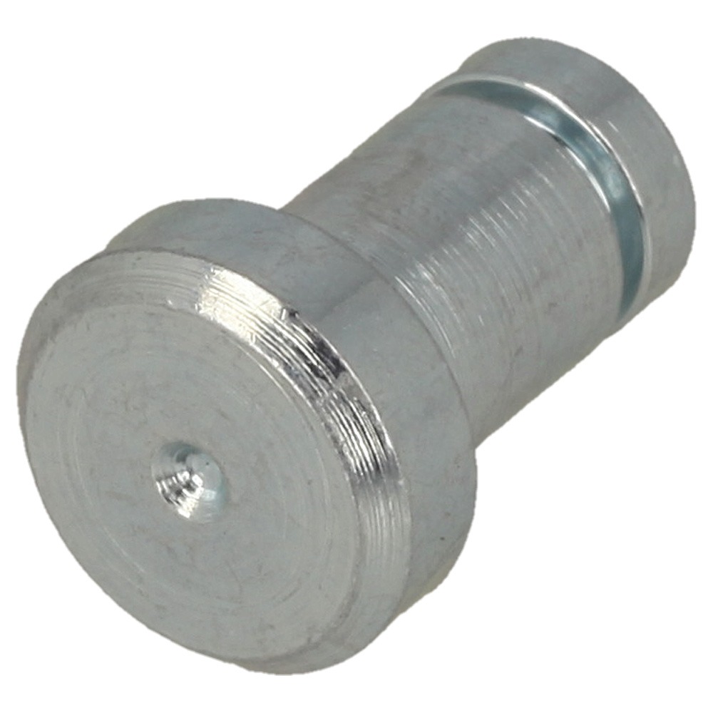 Pin