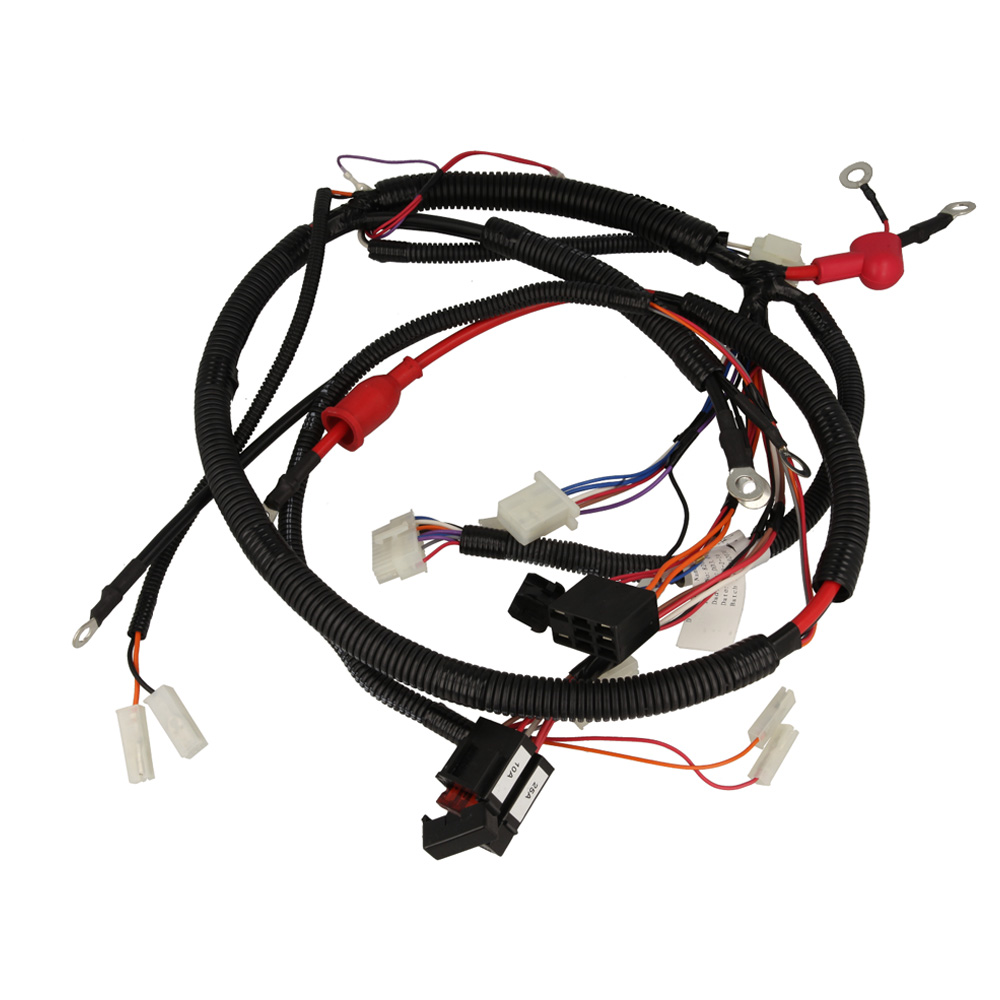 Complete Wiring Assembly For Mechanical Models without lamp To 31-8-2014