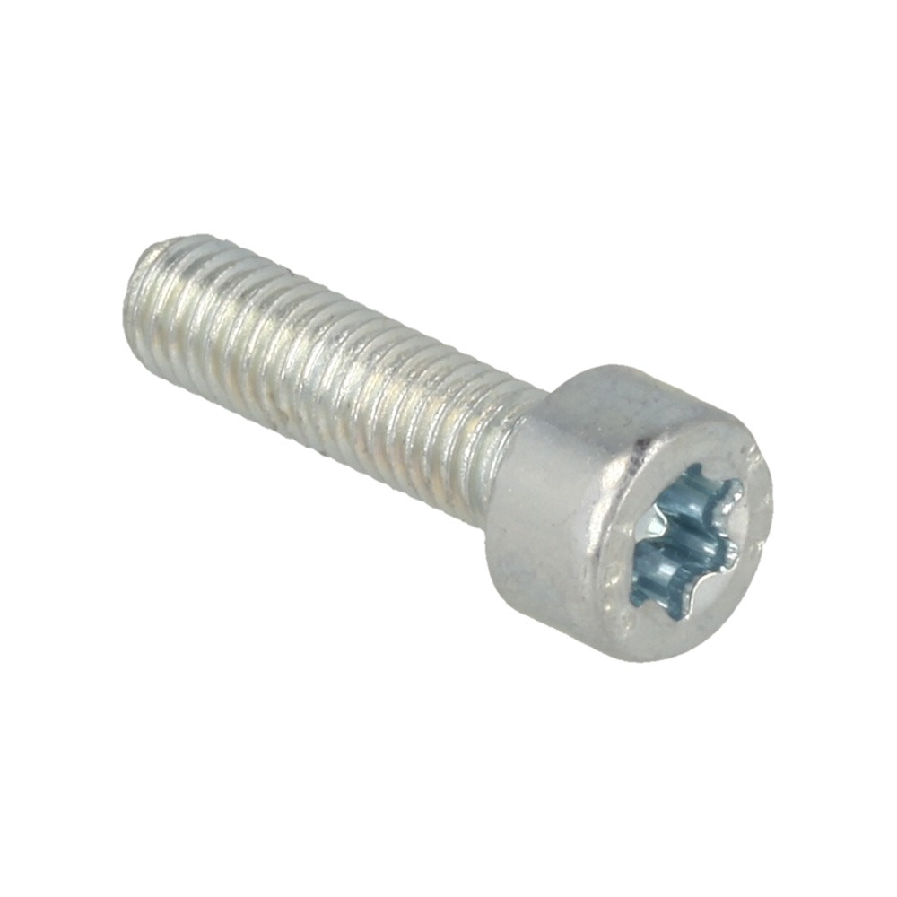 Screw