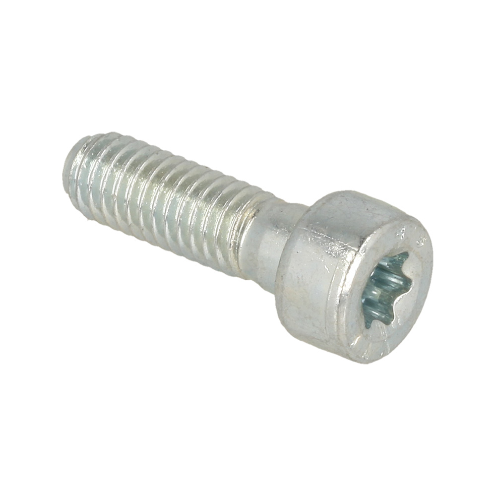 Screw