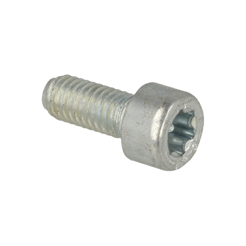 Screw