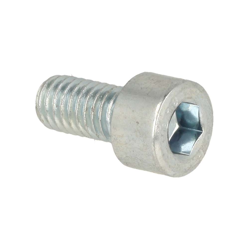 Screw