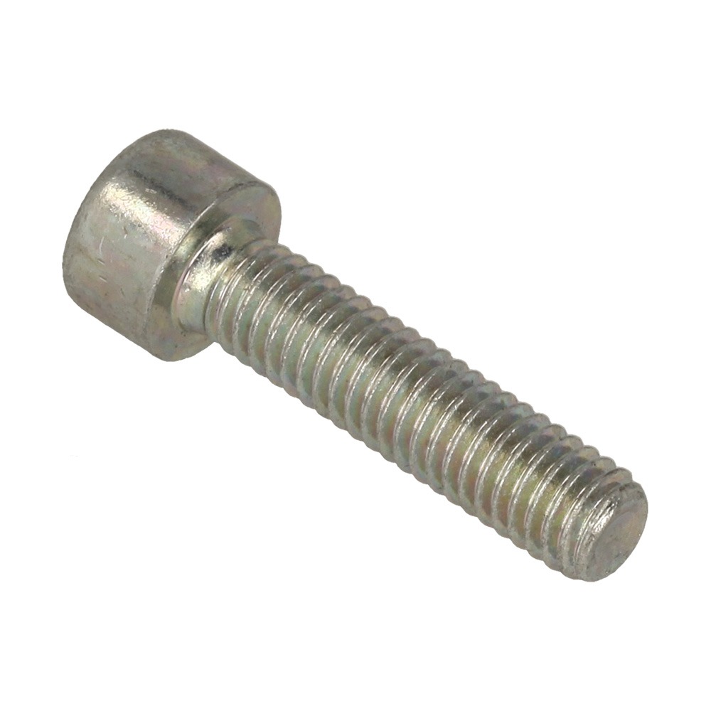 (12a) Screw Cap M6 x 25