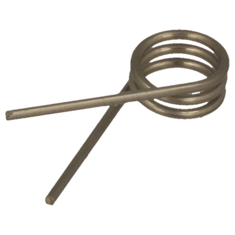 Torsion spring
