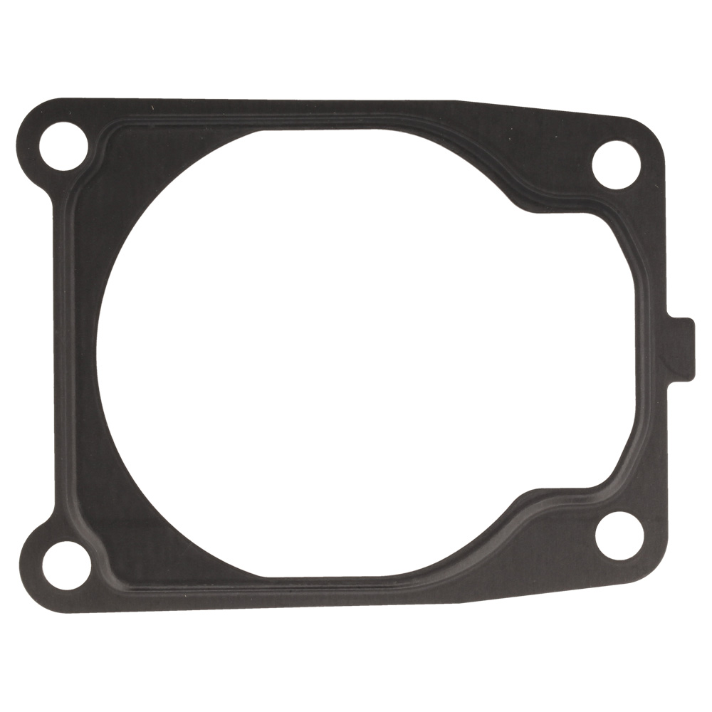 Cylinder gasket