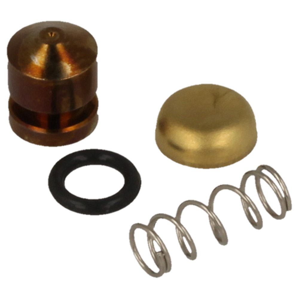 Pump Piston Kit