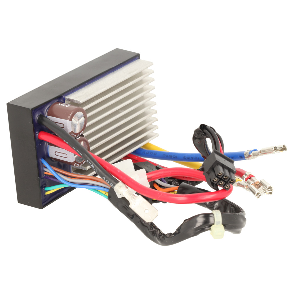 Electronic Module