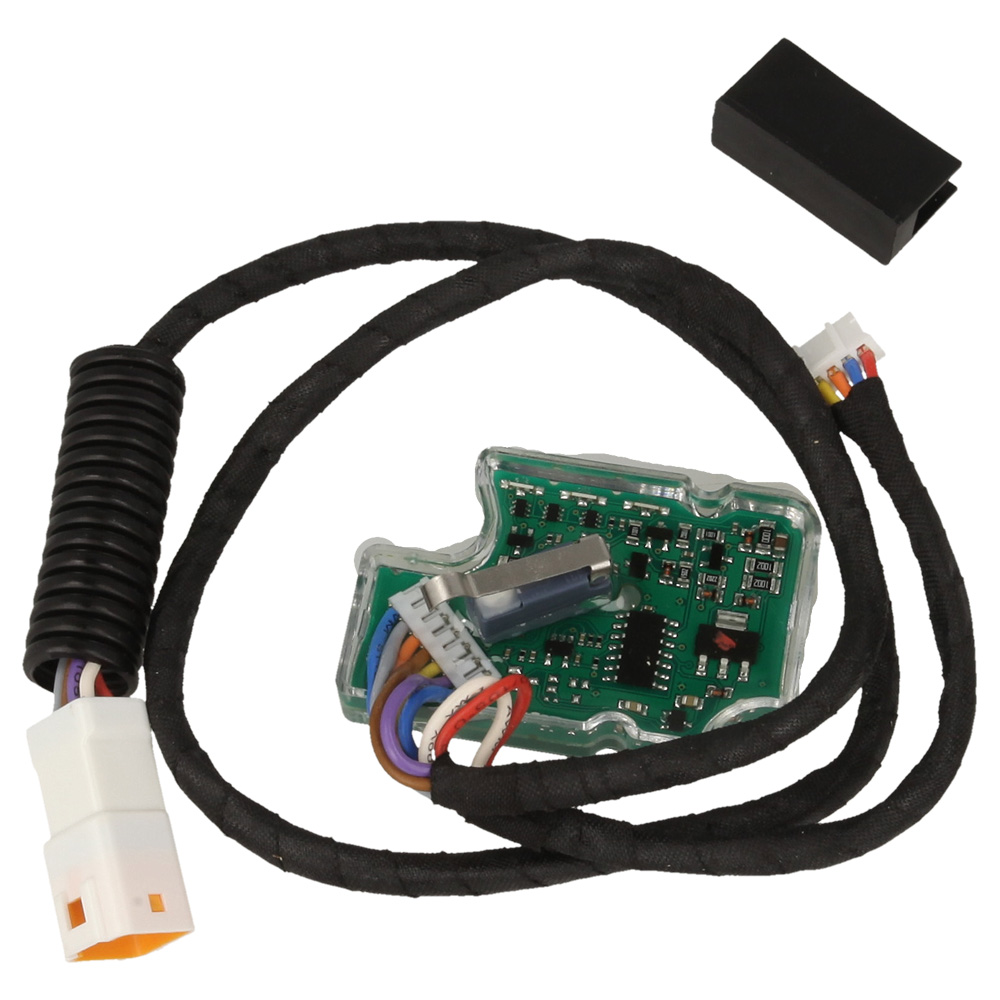 Electronic module