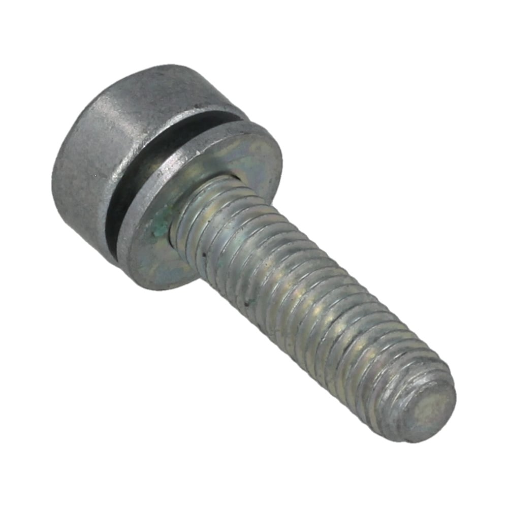 Spline Screw Is-M5x20 (Micro-Encapsulated)