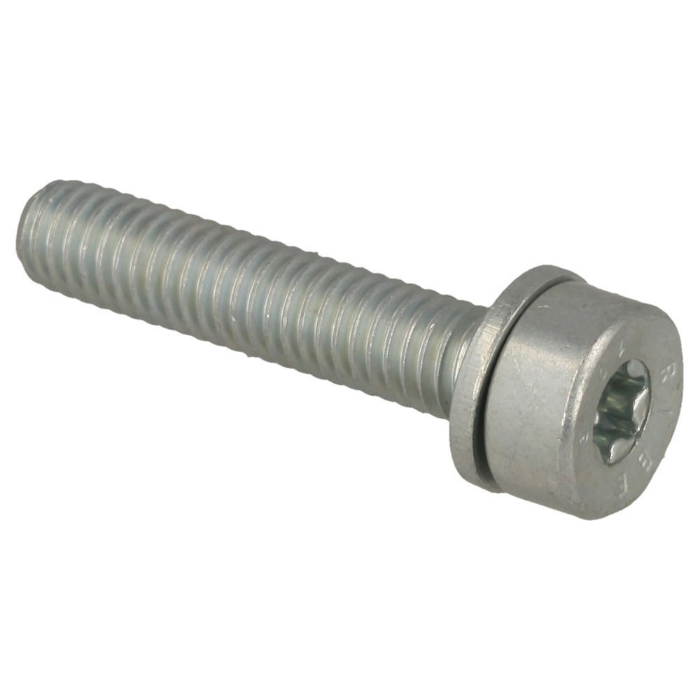 Spline Screw Is-M6x30