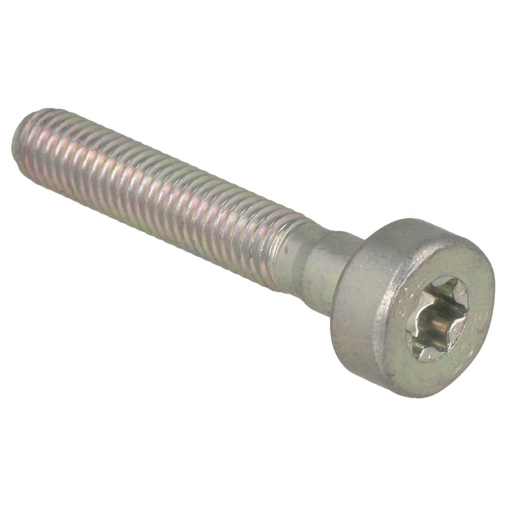 Spline Screw Is-M5x30