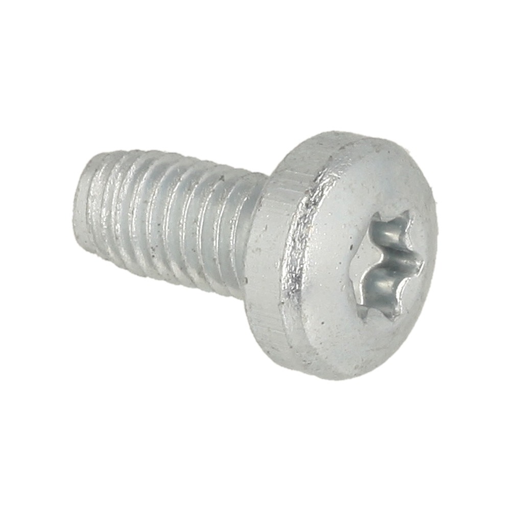Self-Tapping Screw M5x10