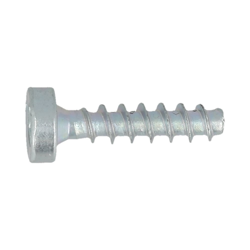 Pan head screw IS P4x16