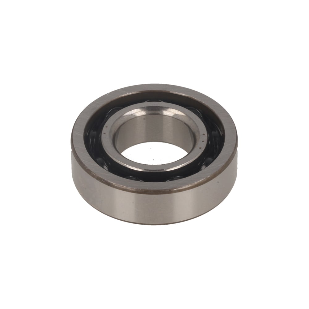 Grooved Ball Bearing 6002