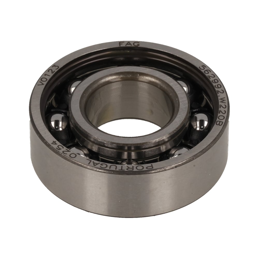 Grooved Ball Bearing 6202