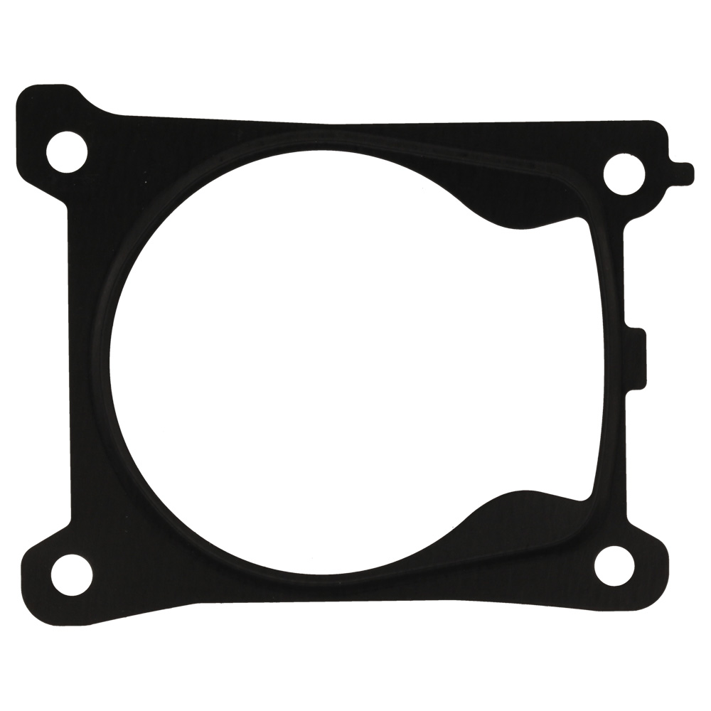 Cylinder gasket