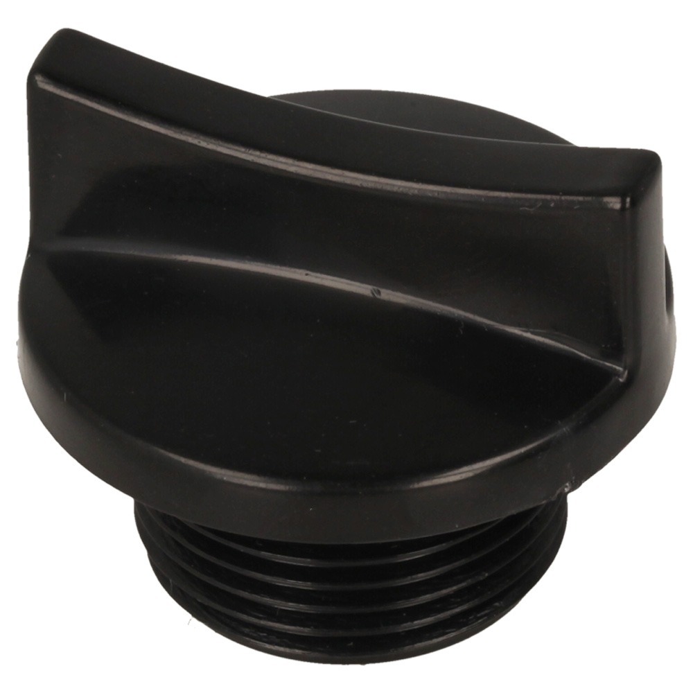 Plug screw