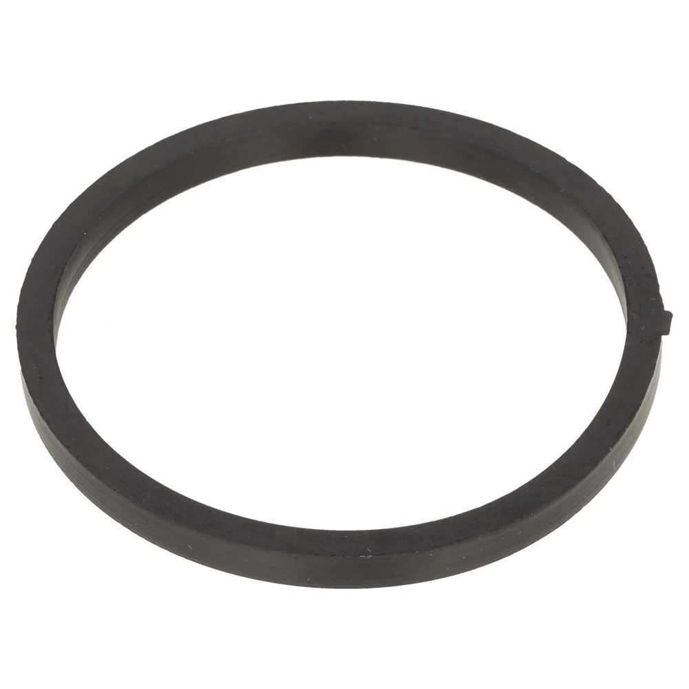 Sealing ring