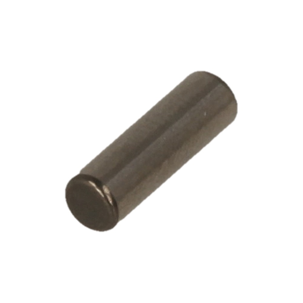 Needle Roller 3X9.8