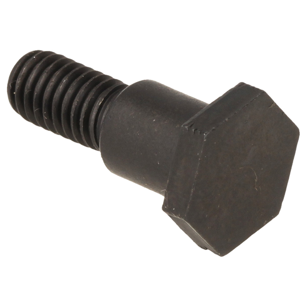 Step Bolt