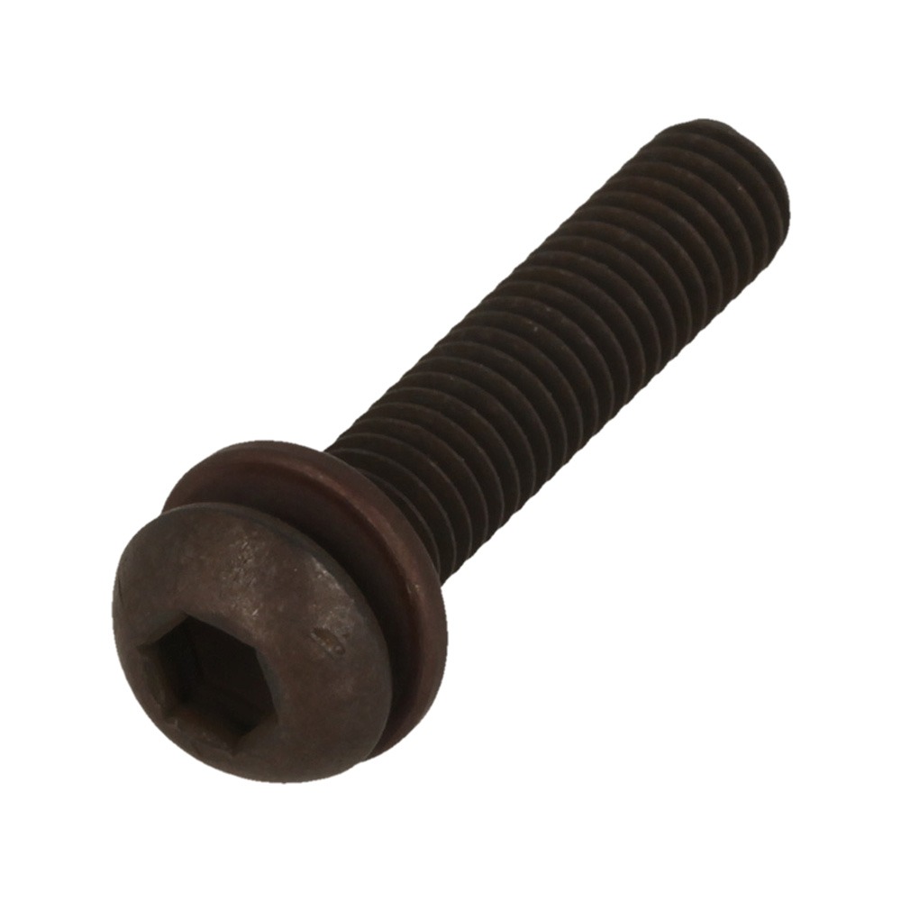 Hex.Hole Button Screw 6X30S